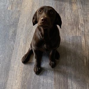 Meet your Posher, Copeland